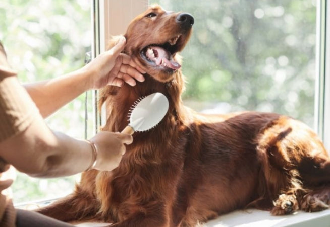 CEPILLO A VAPOR 3 EN 1  PARA MASCOTAS - ELIMINA PELO MUERTO Y RELAJA A TU PERRO O GATO